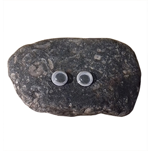 Pet Rock - Peter Politician Pet Rock - Peter Politician