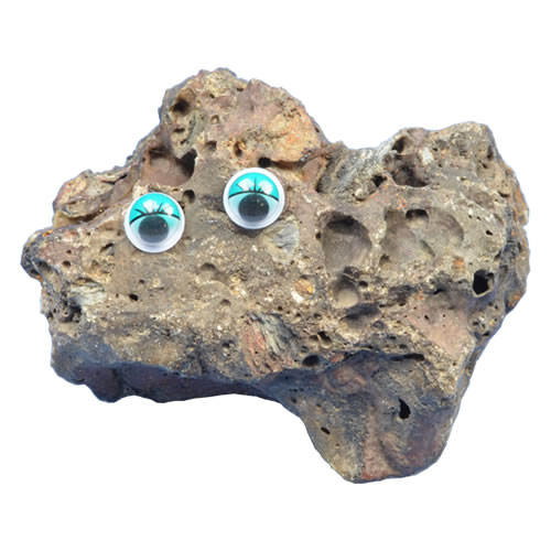 Pet Rock - Zebedee Clinker