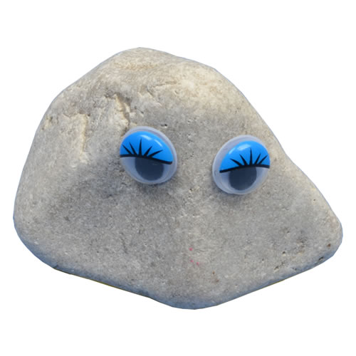 Pet Rock - Coleen Cute