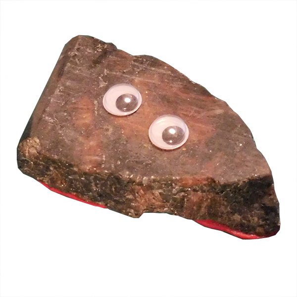 Pet Rock - Craig Counter