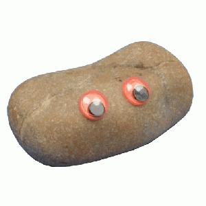 Pet Rock - Brooke Rock