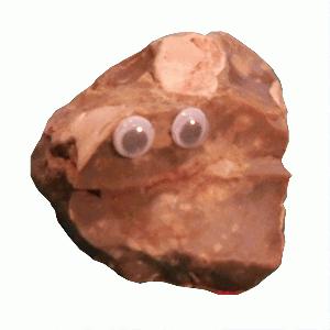 Pet Rock - Harry Hibble