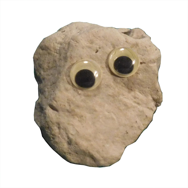 Pet Rock - Louise Rock
