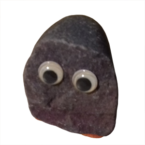 Pet Rock - Nosey Norris