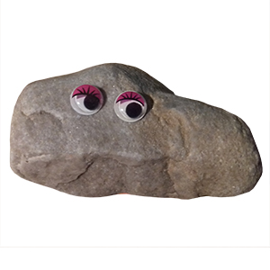 Pet Rock - June Smelly Face