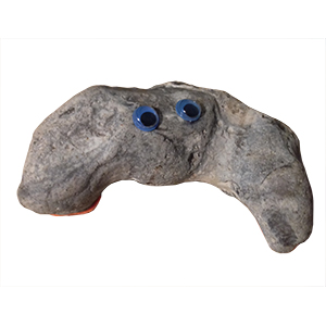 Pet Rock - John