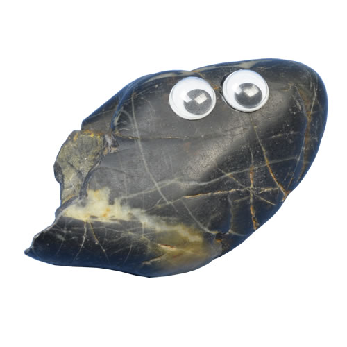 Pet Rock - Black Ernie