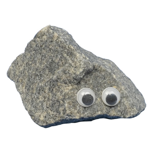 Pet Rock - Dit