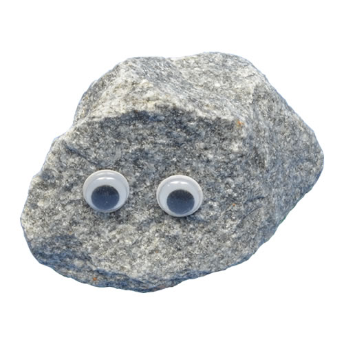 Pet Rock - I-Rock
