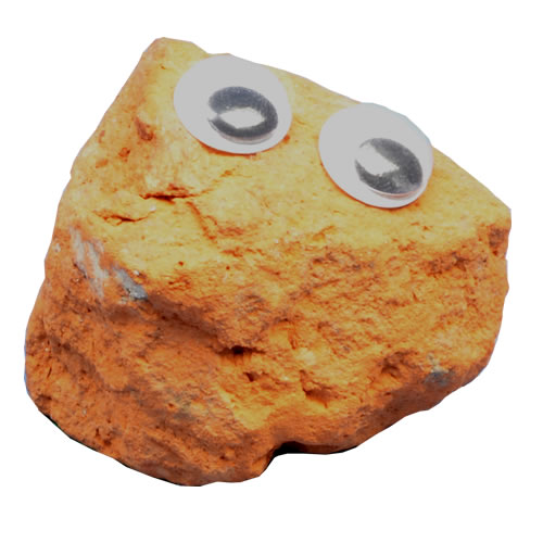 Pet Rock - Jennifer The Brick