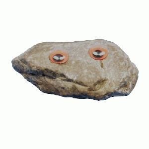 Pet Rock - Lord Rock The First