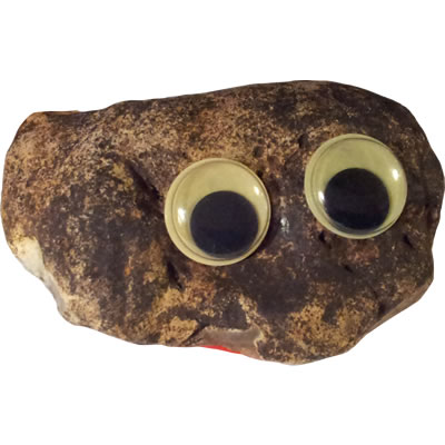 Pet Rock - Big Yellow