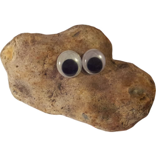 Pet Rock - National Debt