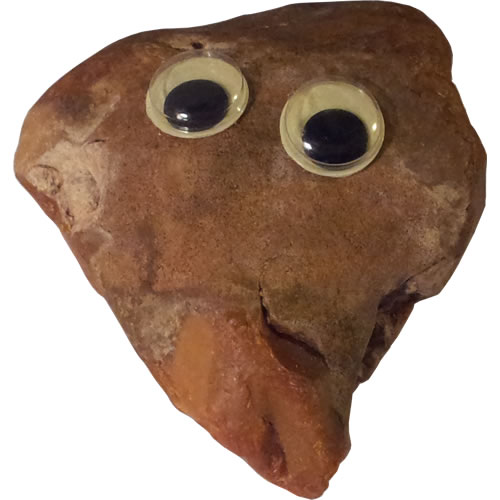 Pet Rock - Rocky Howard