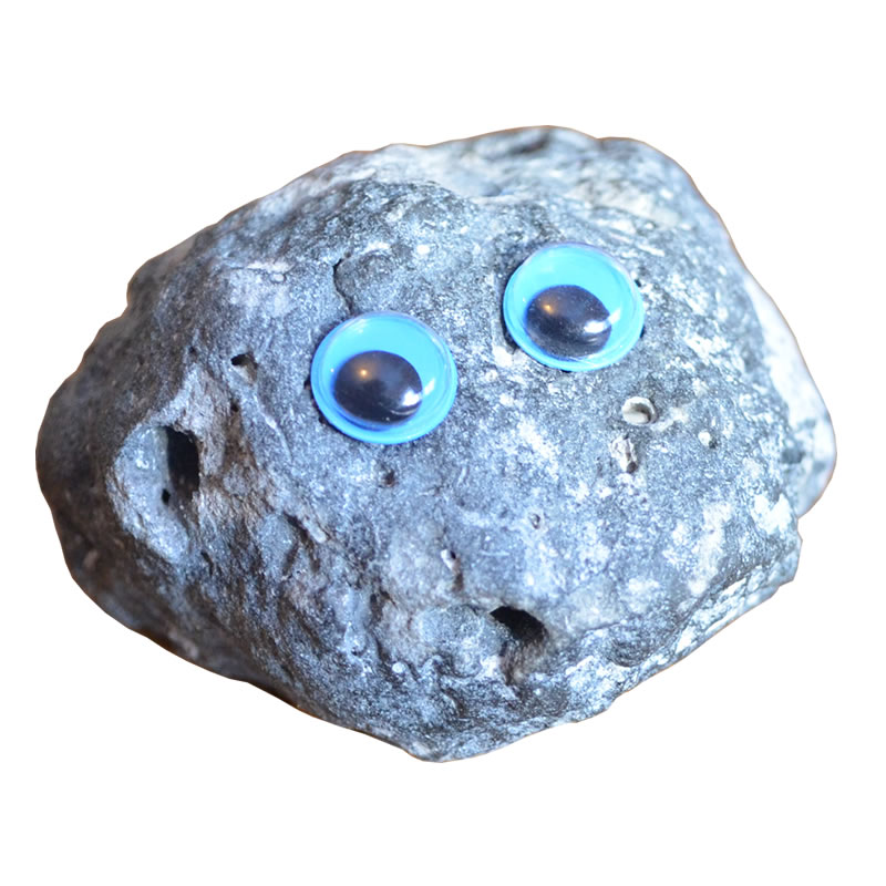 Pet Rock - Super Rock 