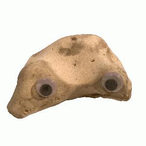 Pet Rock - Harry Horror