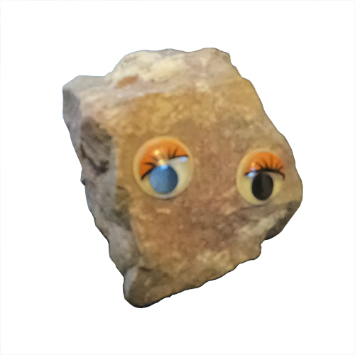 Pet Rock - Angie Rock