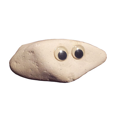 Pet Rock - Gareth Gold