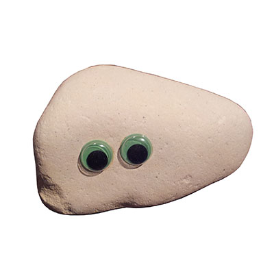 Pet Rock - Big Henry