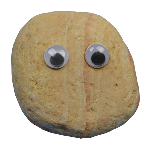 Pet Rock - Karen Rock