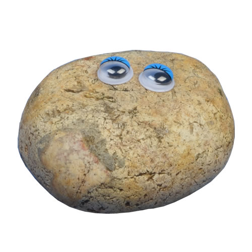 Pet Rock - Winstone