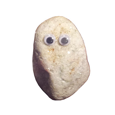 Pet Rock - Startled Steven