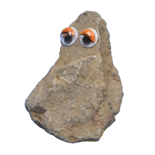Pet Rock - Claire