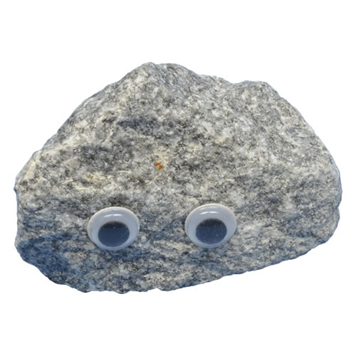 Pet Rock - Sago